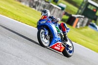 Oulton-Park-14th-March-2020;PJ-Motorsport-Photography-2020;anglesey;brands-hatch;cadwell-park;croft;donington-park;enduro-digital-images;event-digital-images;eventdigitalimages;mallory;no-limits;oulton-park;peter-wileman-photography;racing-digital-images;silverstone;snetterton;trackday-digital-images;trackday-photos;vmcc-banbury-run;welsh-2-day-enduro